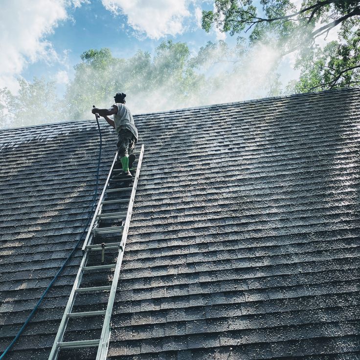 Soft Wash Pressure Cleaning