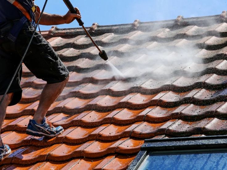 Roof Cleaning