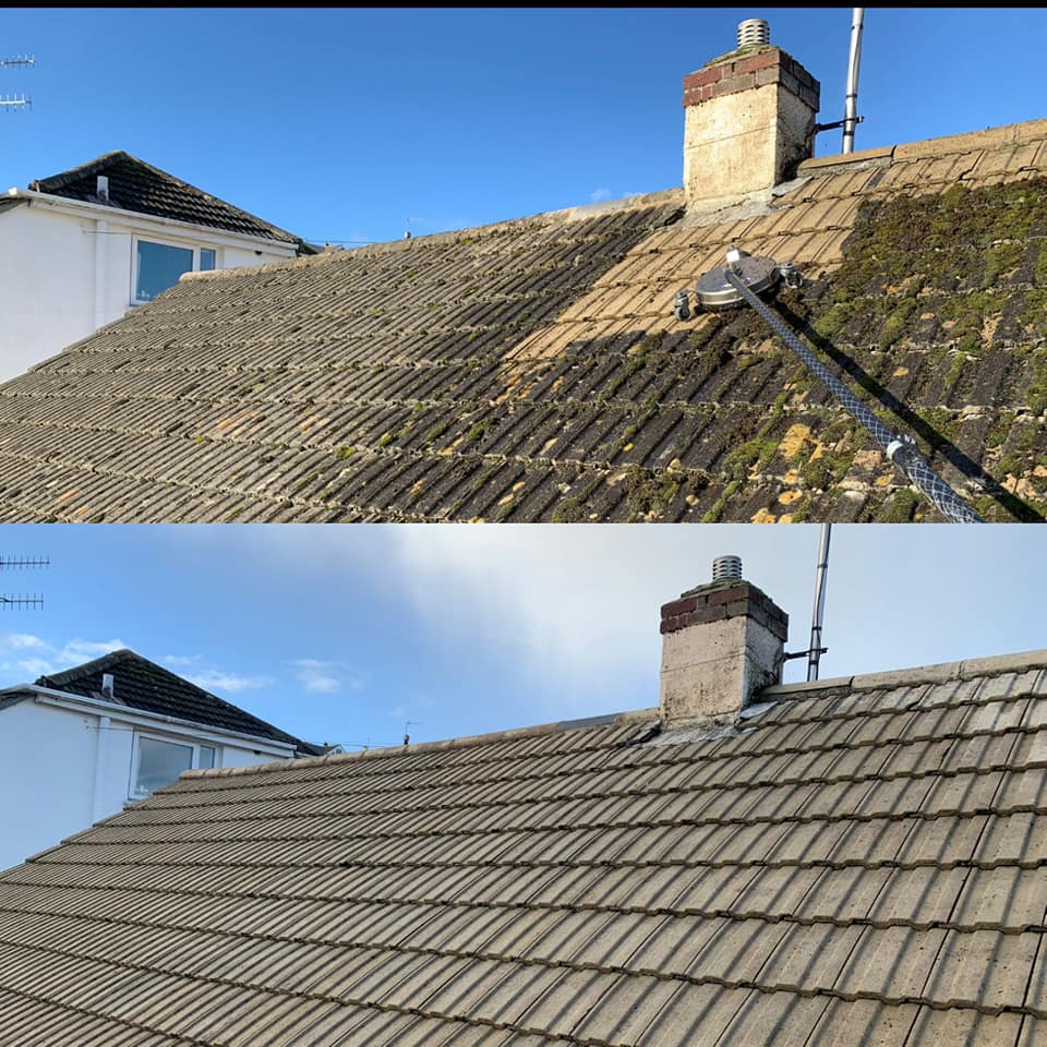 Roof Cleaning and Moss Removal