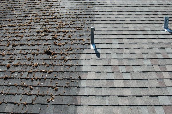 Soft Wash Roof Cleaning