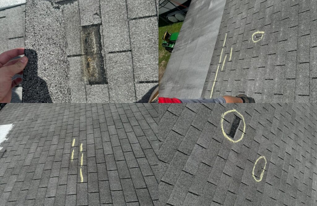 Roof Assessment
