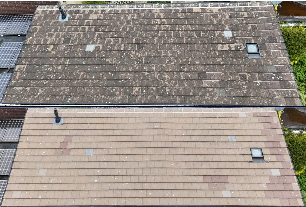 Moss Cleaning Service