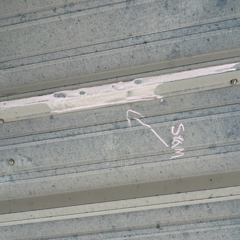 Roof Leak Inspection