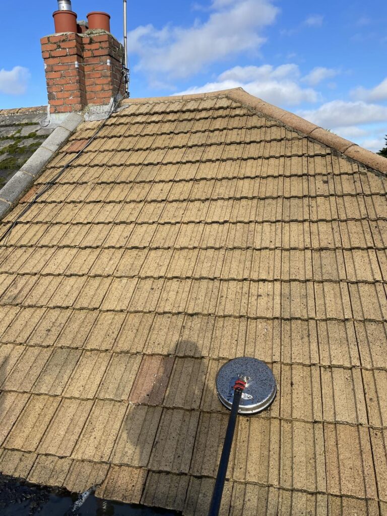Tile Roof Cleaning
